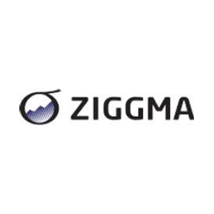 ziggma brand logo for ziggma.com