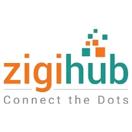 zigihub brand logo for zigihub.com