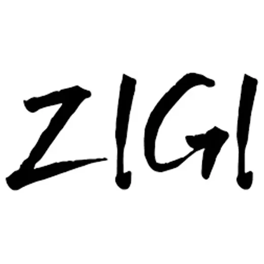 ziginy brand logo for ziginy.com
