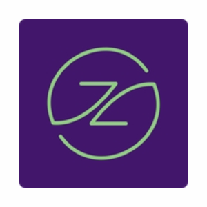 Zing Wellbeing brand logo for zingwellbeing.com