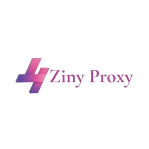 ziny brand logo for ziny.io