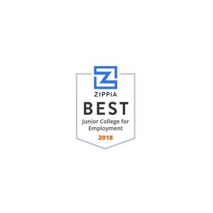 zippia brand logo for zippia.com