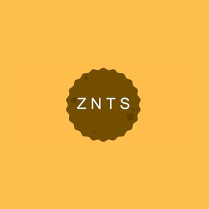 zntswholesale brand logo for zntswholesale.com